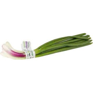 Mahe sibulakimp mix