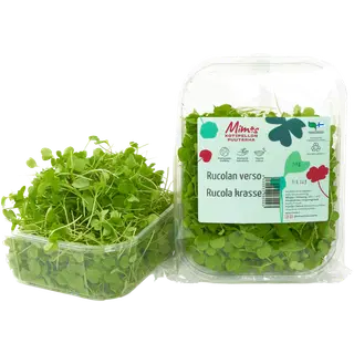 Mimis salat rukkologa 50 g COOP