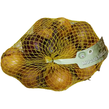 Mugulsibul pakitud 1kg