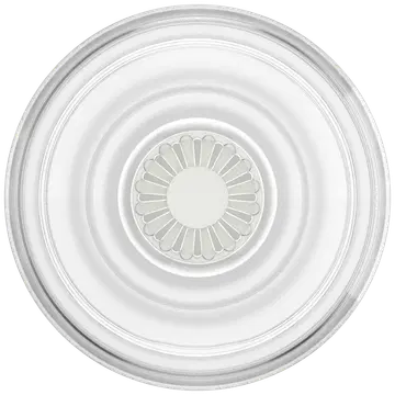 PopGrip Clear