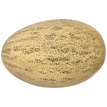 Kesk Aasia melon
