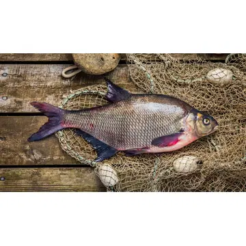 Latikas roogitud, jahutatud