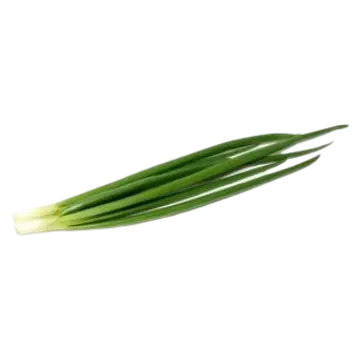 Roheline sibul pakitud