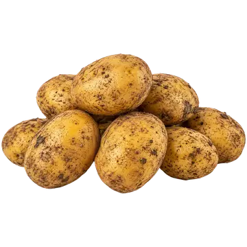 Varajane kartul pesemata Eesti