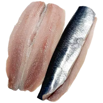 M.V.Wool Heeringafilee Sulatatud