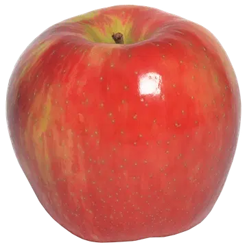 Õun Honey Crunch I klass