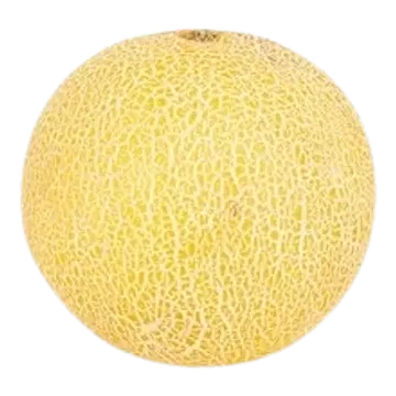 Melon Galia
