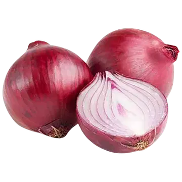 Mugulsibul punane