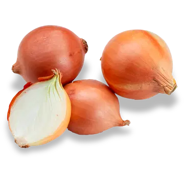 Mugulsibul