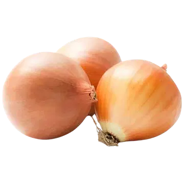 Salatisibul