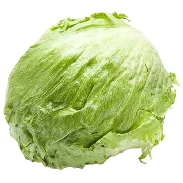 Jääsalat I klass