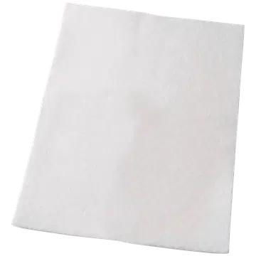 Tolmuimeja filter Electrolux EF55