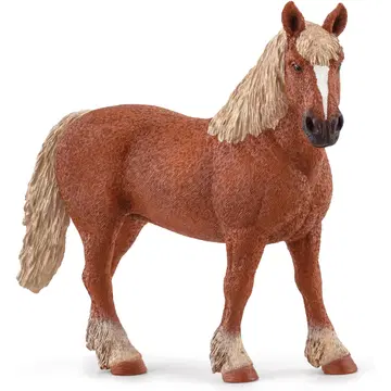 BELGIA VEOHOBUNE