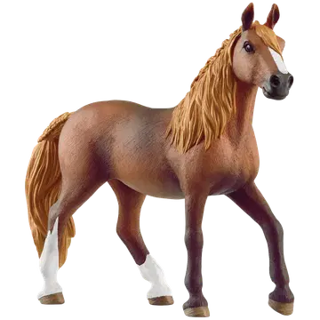 Paso peruano mära