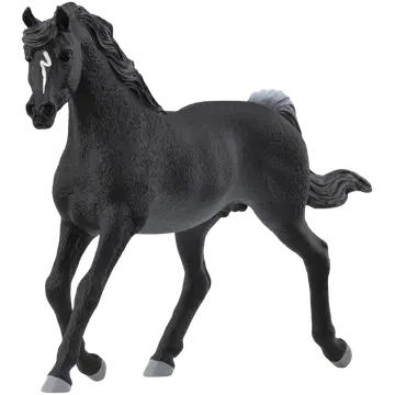 Haflinger mare