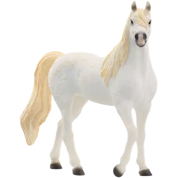 Araabia hobuse täkk