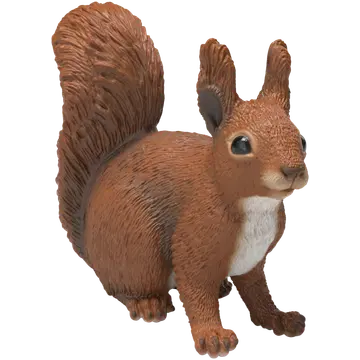 Orav