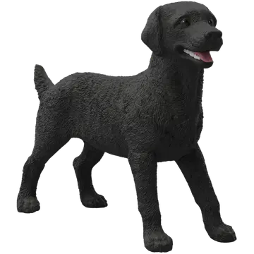 Must labradori retriiveri emane