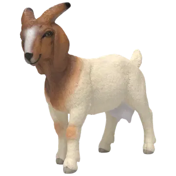 Kits boer