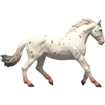 Knabstrupper mare