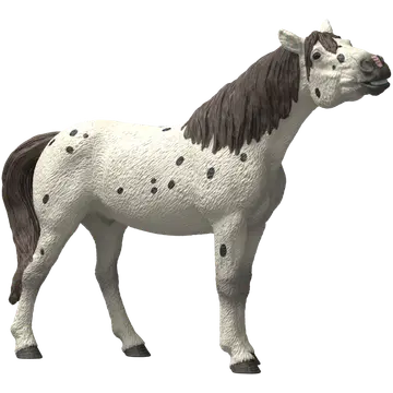 Knabstrupi hobune