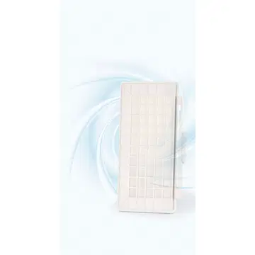 Bosch HEPA filter BBZ154