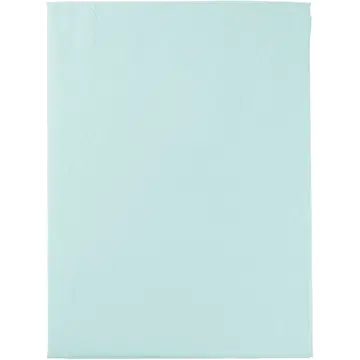 Beebi voodilina 100X150