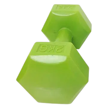 Vinüülhantlid 2 kg 2 tk