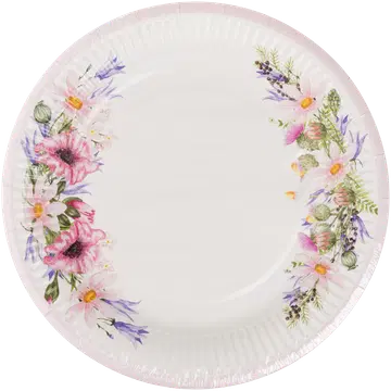 Picnic Smile papptaldrikud 23cm 10tk suvelilled