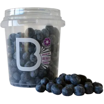 Mustikad 500 g