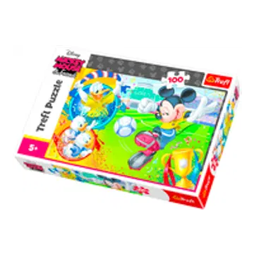 Puzzle 100 osa