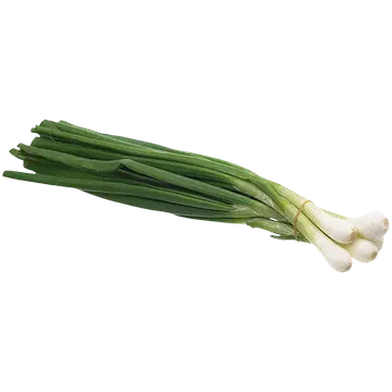 Roheline sibul pakitud 100g