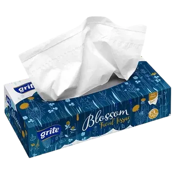 Grite kosmeetiline salvrätt blossom 2-kihil 80tk