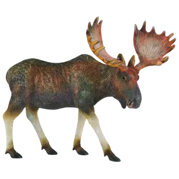 Põder