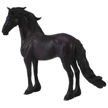 Friesian mära