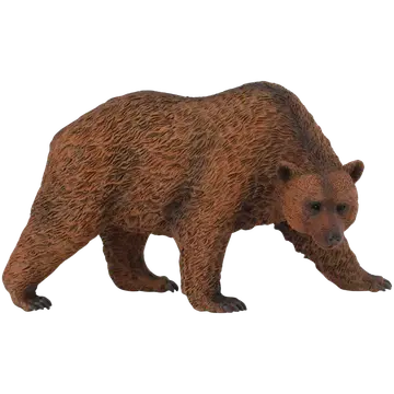 Karu