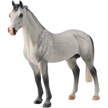 Hanoverian täkk