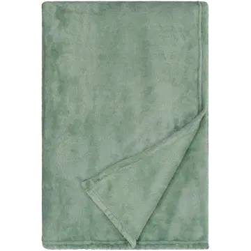 Pleed Solid 130X170 House roheline