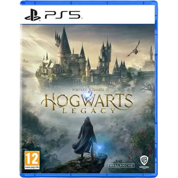 PS5 Hogwarts Legacy