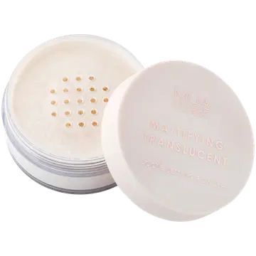 Mua puuder Professional loose 18g Mattifying Translucent