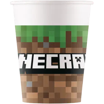 Decorata Party papptopsid Minecraft 200ml 8tk