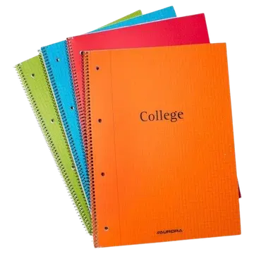 College plokk a4 plastkaanega 4 auku 80 lehte ruuduline