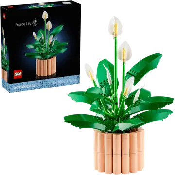 11504 botanicals