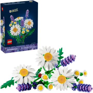 11508 botanicals