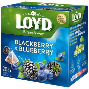 Loyd puuviljatee Pyramids põldmari ja mustikas 40g