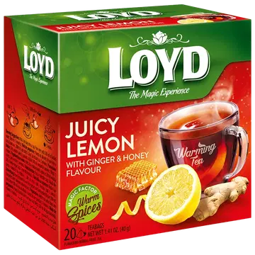 Loyd puuviljatee Pyramids Warming Sidrun 40g