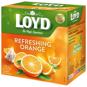 Loyd Pyramids teevärske apelsin 20x2,2g