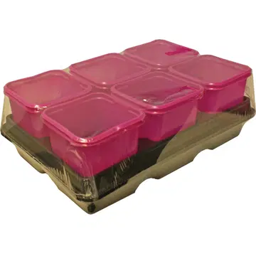 Istutuspott 8x8cm 12tk roosa+2alust