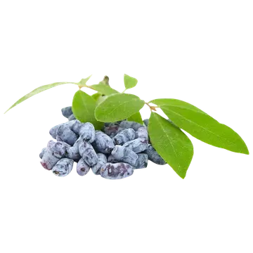 Kuslapuu marjad 150 g