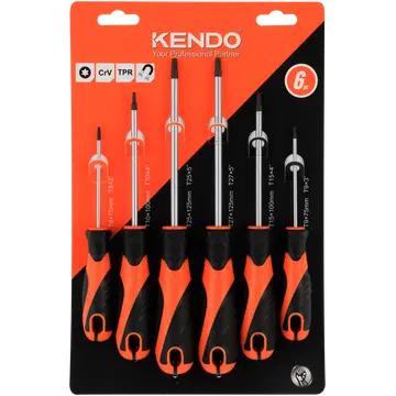 Torx kruvikeeraja  komplekt 6-osa
